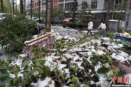 Bắc Kinh đón trận tuyết lớn nhất nửa thế kỷ ảnh 9