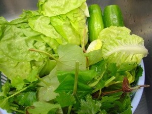 Tăng cường biện pháp ngăn ngừa lây nhiễm E.coli ảnh 1