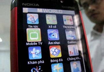 2010 - Năm của "bùng nổ" dịch vụ tiện ích qua mạng ảnh 1