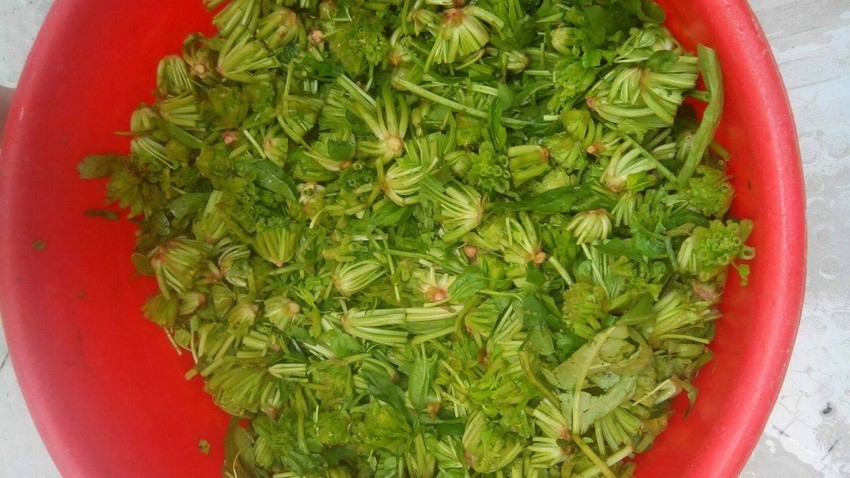 Lạ mắt vườn cây từ vật dụng tái chế của học sinh lớp 8 ảnh 7