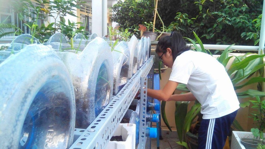 Lạ mắt vườn cây từ vật dụng tái chế của học sinh lớp 8 ảnh 3