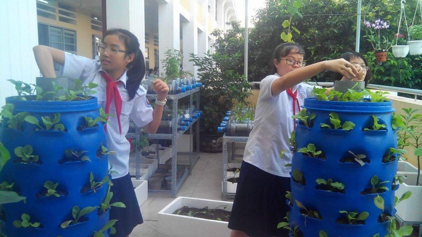 Lạ mắt vườn cây từ vật dụng tái chế của học sinh lớp 8 ảnh 5