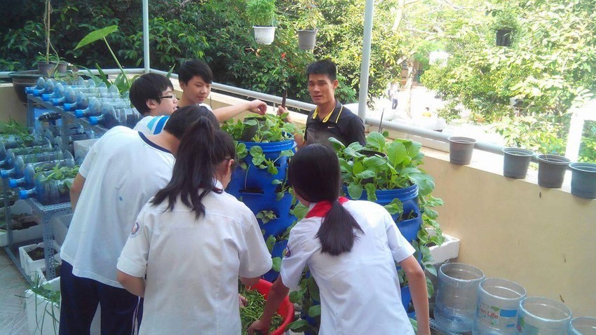 Lạ mắt vườn cây từ vật dụng tái chế của học sinh lớp 8 ảnh 6