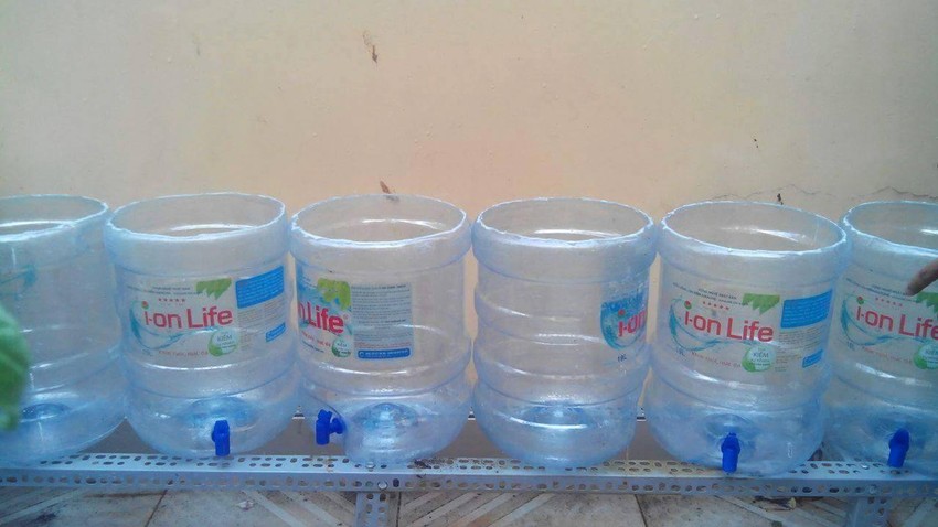 Lạ mắt vườn cây từ vật dụng tái chế của học sinh lớp 8 ảnh 2