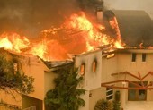 Dàn sao Hollywood ở Malibu kéo nhau bỏ chạy vì cháy rừng
