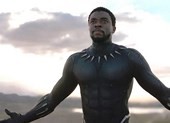 Điểm mặt bốn bộ phim đã thâu tóm Oscar 2019
