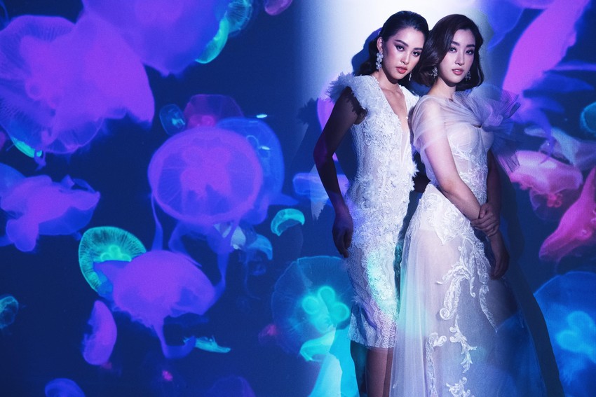Tiểu Vy, Đỗ Mỹ Linh biến hóa trong bộ ảnh mới ảnh 9
