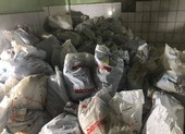 1 giám đốc ở TP.HCM bị bắt vì sản xuất găng tay y tế giả