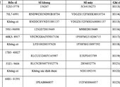 Công an quận 4 tìm chủ sở hữu của gần 30 xe máy