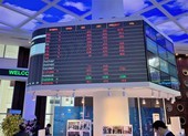 'Bệnh' cũ sàn chứng khoán TP.HCM tái phát, nhà đầu tư méo mặt