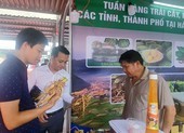 Bất chấp COVID-19, nông sản Việt xuất siêu gần 3,3 tỷ USD