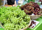 Loại trái cây rất tốt cho sức khỏe tim mạch