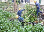 Tìm giải pháp bảo vệ tài nguyên nước cho TP.HCM