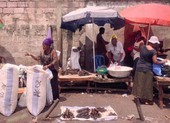 Truy tìm 'Bệnh X' lây nhanh như COVID-19, nguy hiểm như Ebola