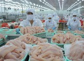 Bán qua Alibaba, cá tra Việt 'tấn công' Bắc Kinh, Thượng Hải