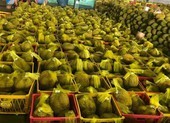 Sầu riêng Việt Nam 'bơi' sang Mỹ, giá 185.000 đồng/kg