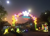 Tết Nguyên đán 2021, TP.HCM dự kiến tổ chức 179 chợ hoa