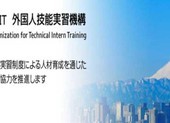 2 công ty Việt đưa thực tập sinh sang Nhật có thể bị xóa tên