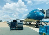 Hàng loạt chuyến bay bị hủy do bão số 6