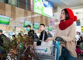Máy bay chở mai, đào tết: gần nửa triệu đồng/bó