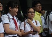 Con chim sẻ 'chết trong đêm' vào đề văn tại Đà Nẵng