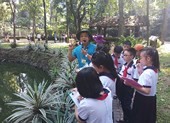 Chương trình giáo dục phổ thông mới khả thi ra sao?