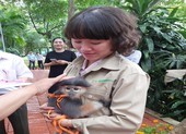 Độc đáo lễ đặt tên cho... voọc tại Thảo Cầm Viên Sài Gòn