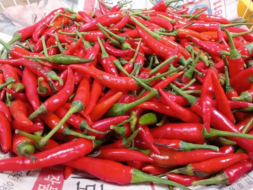 Malaysia đã bỏ lệnh cấm nhập khẩu ớt Việt, doanh nghiệp vẫn 'lơ mơ' ảnh 2