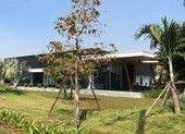 Quý I-2020: Tháo dỡ phần xây sai phép dự án Picity High Park
