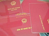 Đồng Nai: 1 chủ tịch phường có bằng Đại học trước bằng cấp 3