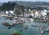 Năm 2020, giá đất Phú Quốc, Vân Đồn có xu hướng tăng
