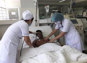 Bị ong vò vẽ đốt 50 mũi, người đàn ông nguy kịch
